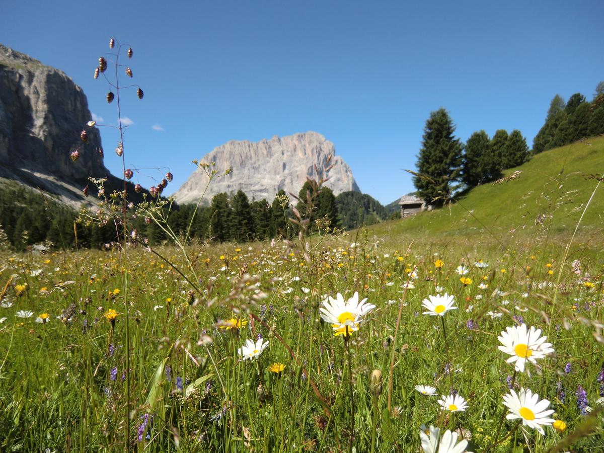 Hotel Edelweiss Braies  Esterno foto