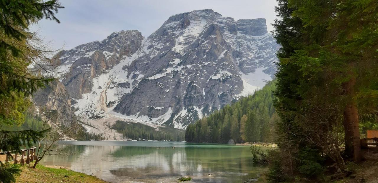 Hotel Edelweiss Braies  Esterno foto